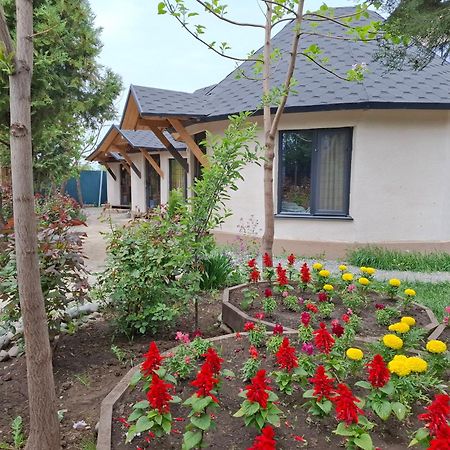 Happy Nomads Yurts & Hostel كاراكول المظهر الخارجي الصورة
