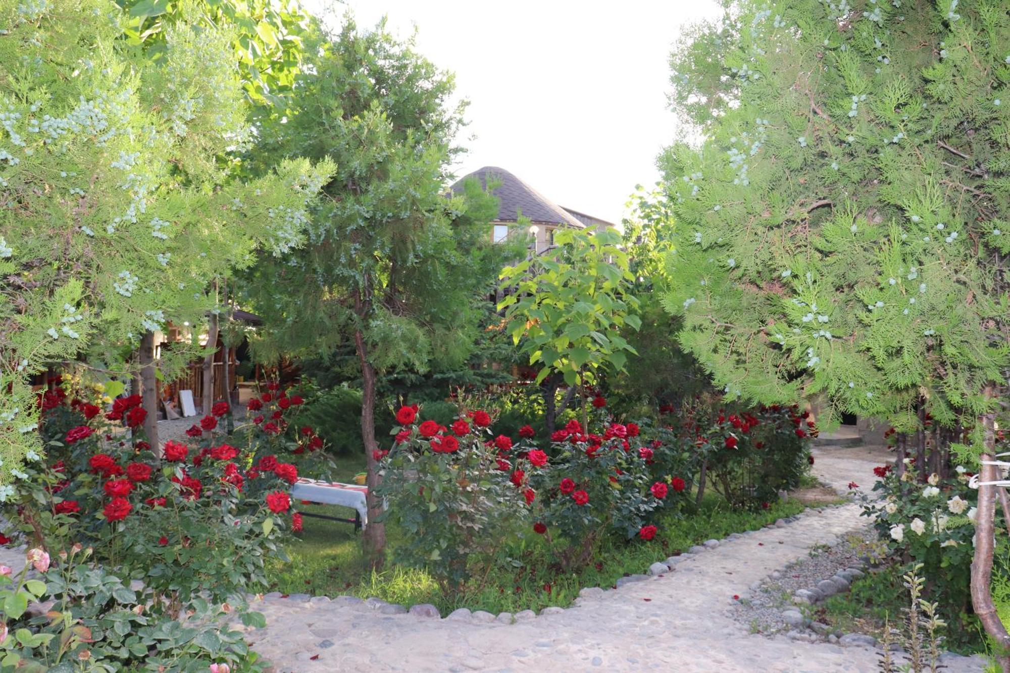 Happy Nomads Yurts & Hostel كاراكول المظهر الخارجي الصورة
