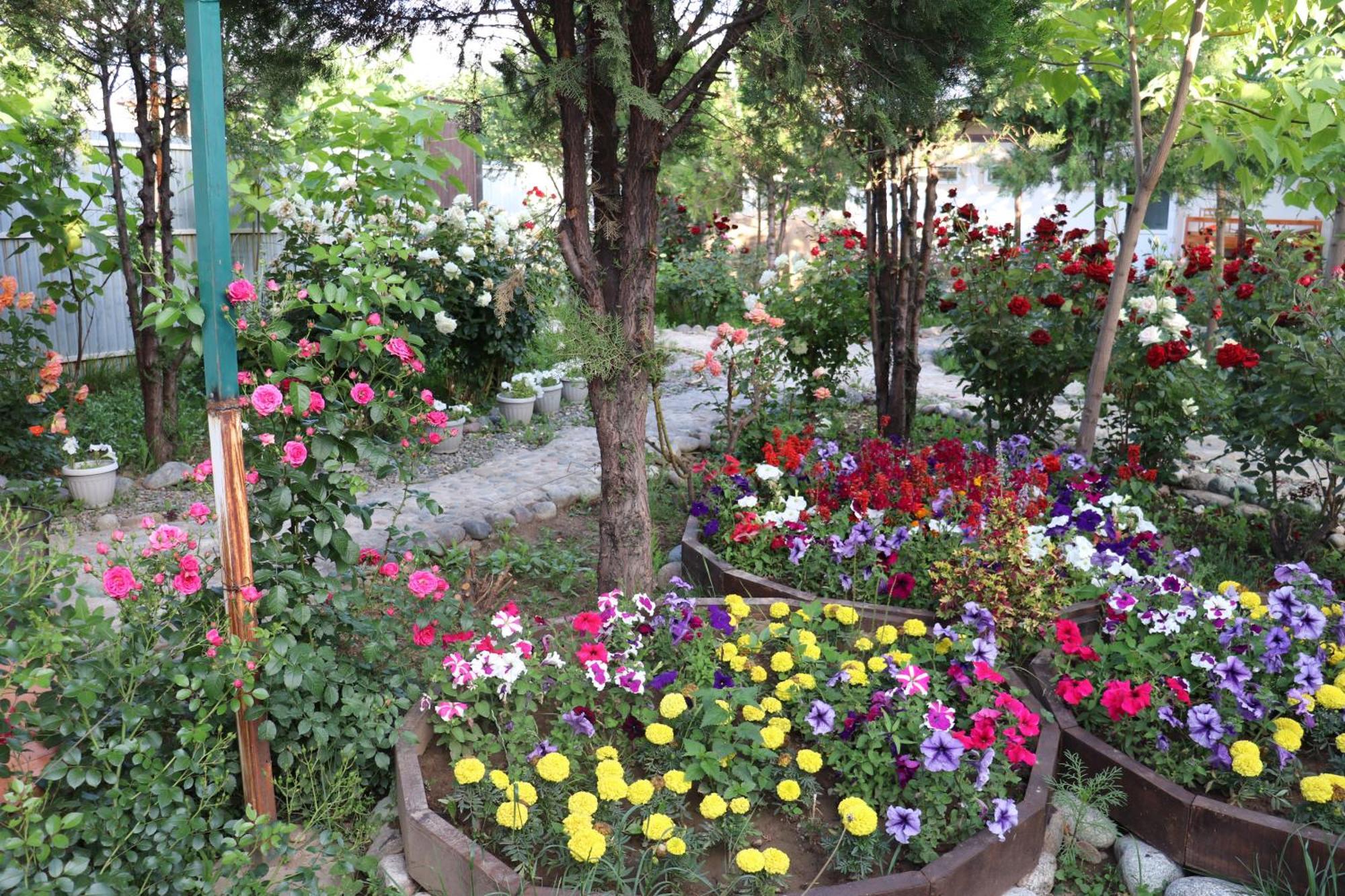 Happy Nomads Yurts & Hostel كاراكول المظهر الخارجي الصورة