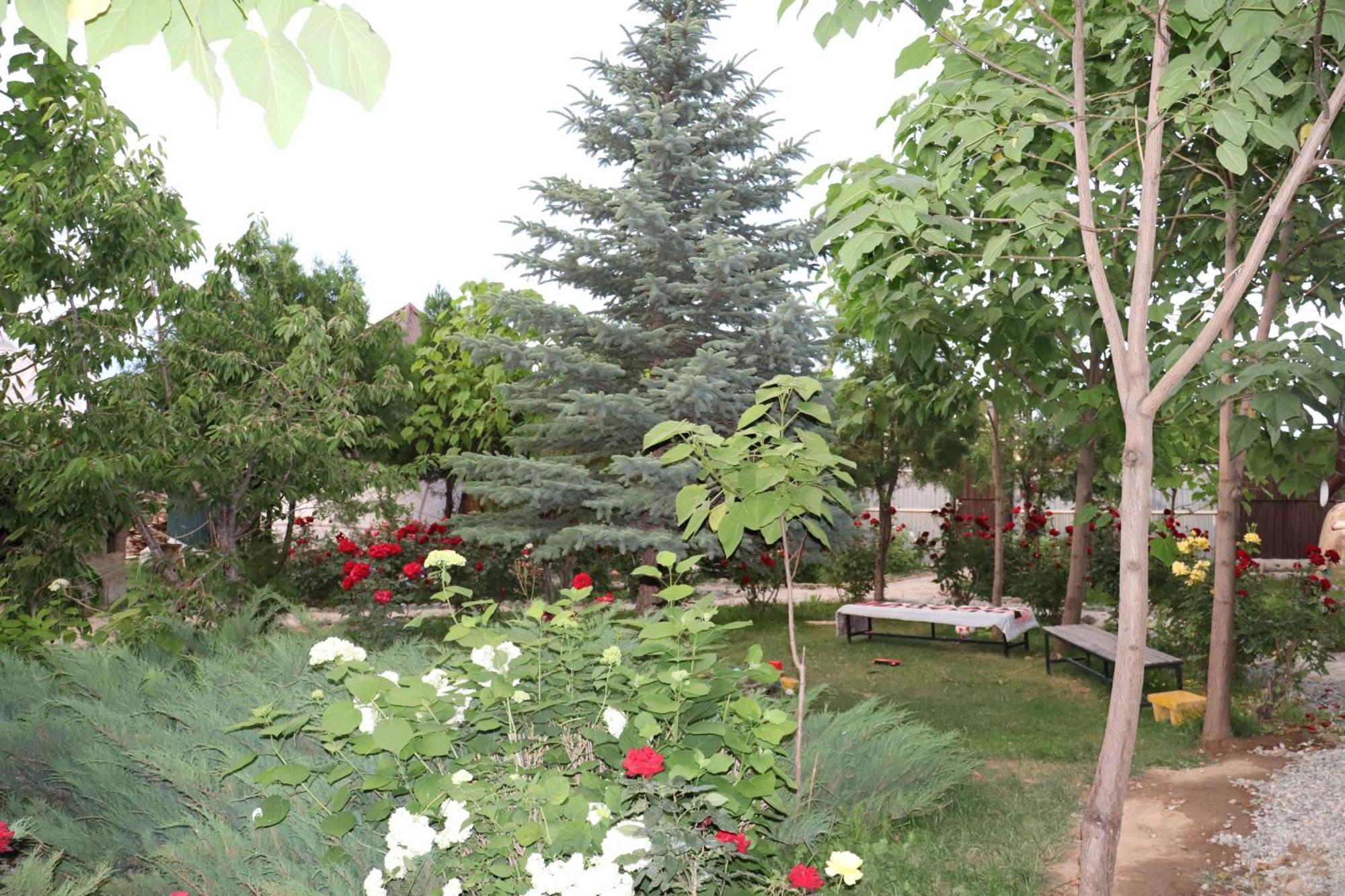 Happy Nomads Yurts & Hostel كاراكول المظهر الخارجي الصورة
