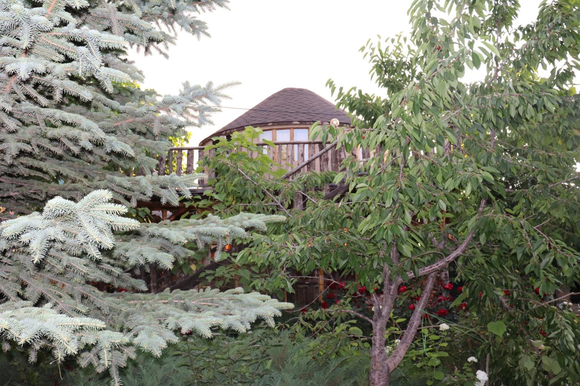 Happy Nomads Yurts & Hostel كاراكول المظهر الخارجي الصورة