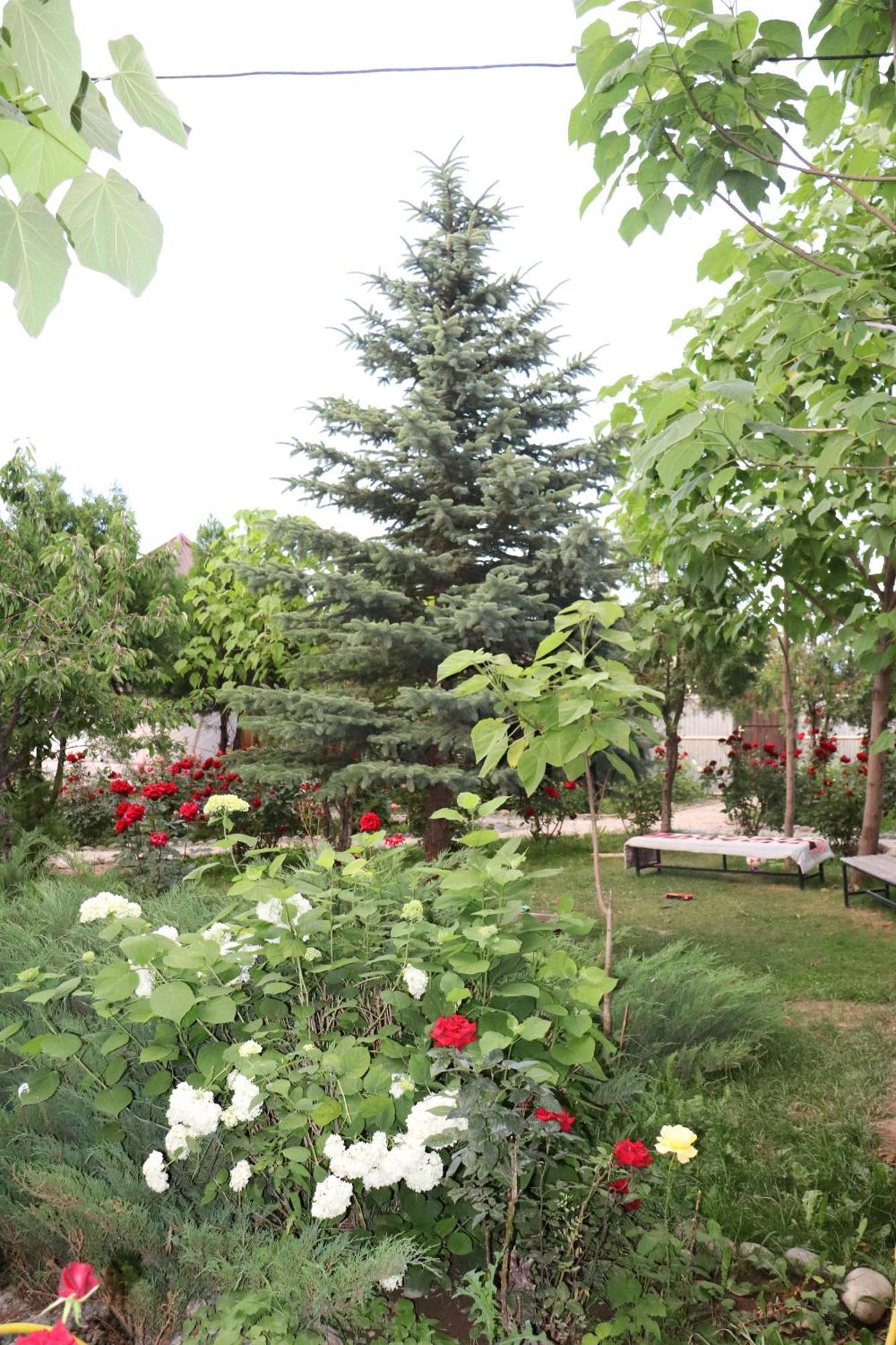 Happy Nomads Yurts & Hostel كاراكول المظهر الخارجي الصورة