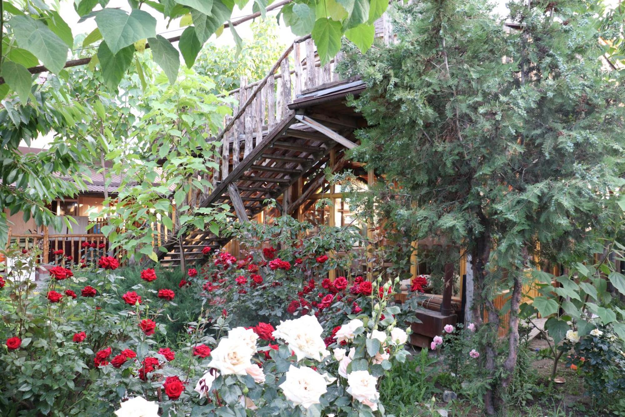 Happy Nomads Yurts & Hostel كاراكول المظهر الخارجي الصورة