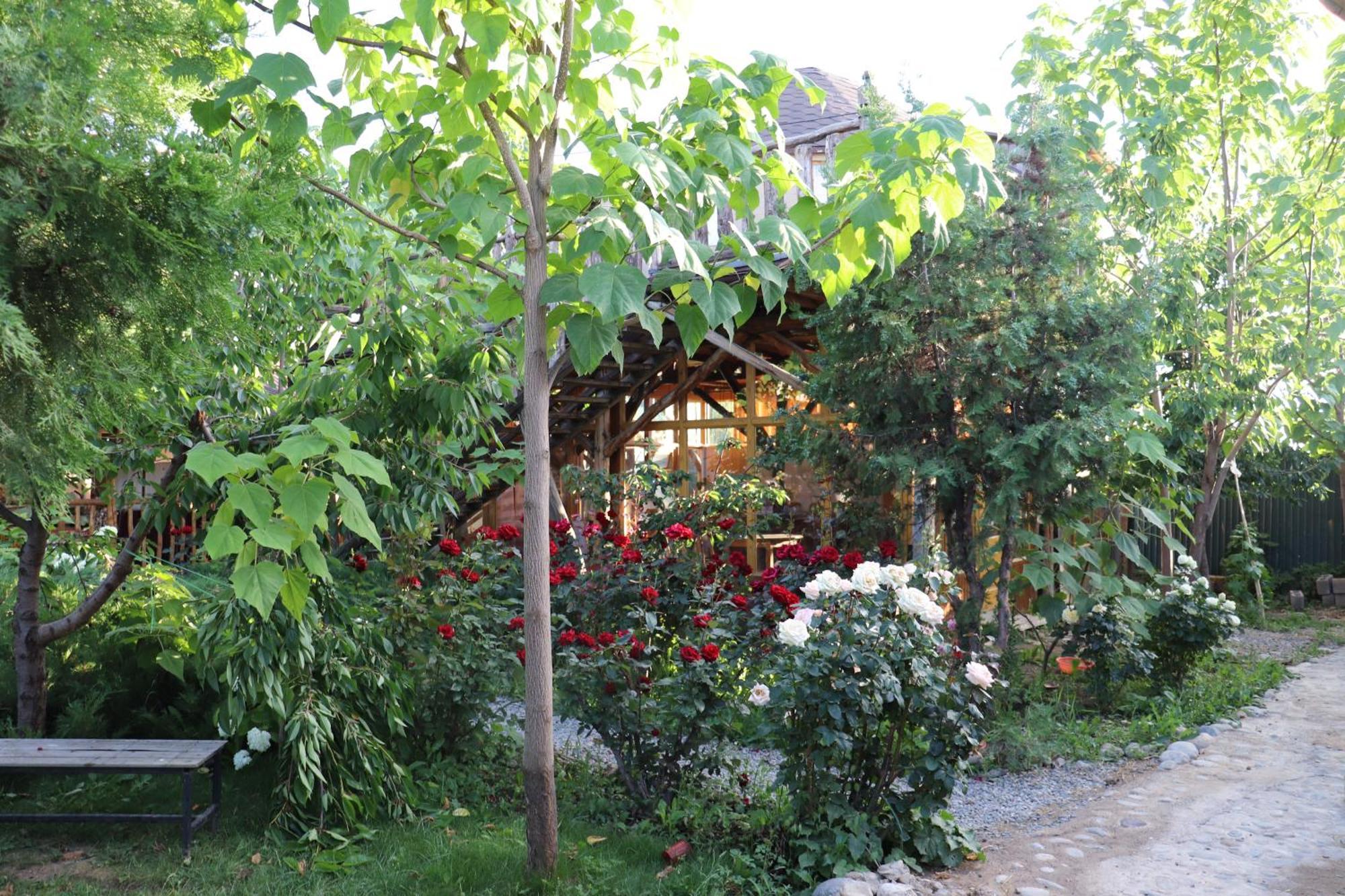 Happy Nomads Yurts & Hostel كاراكول المظهر الخارجي الصورة
