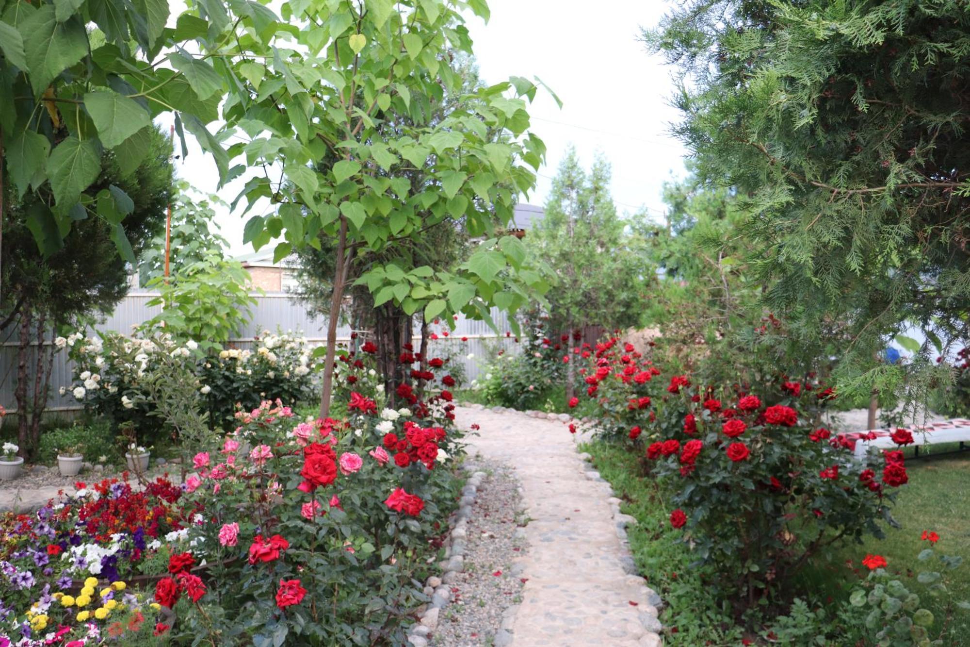 Happy Nomads Yurts & Hostel كاراكول المظهر الخارجي الصورة