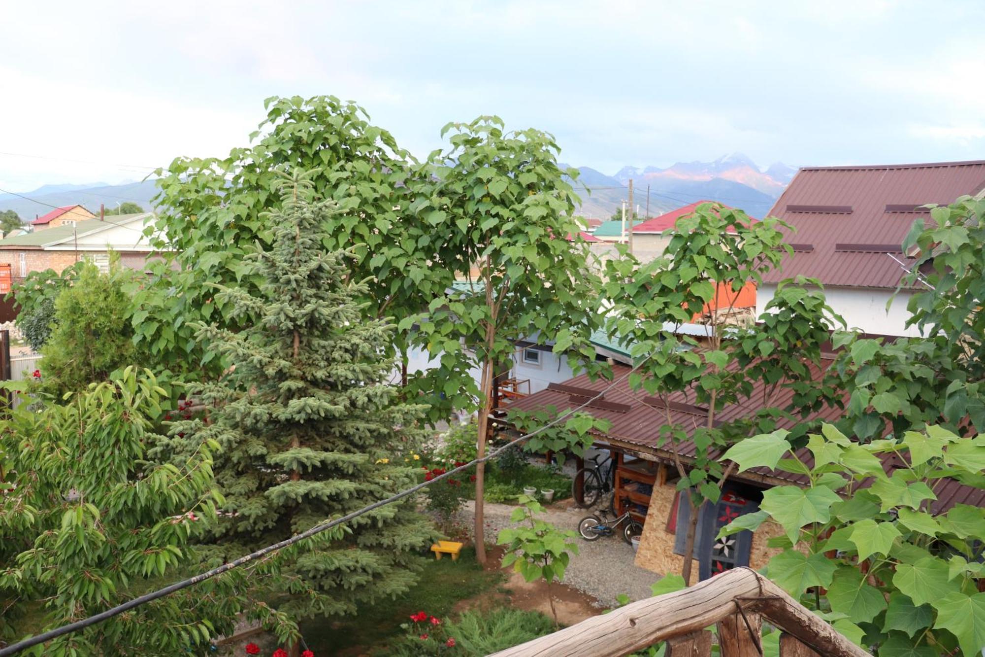 Happy Nomads Yurts & Hostel كاراكول المظهر الخارجي الصورة