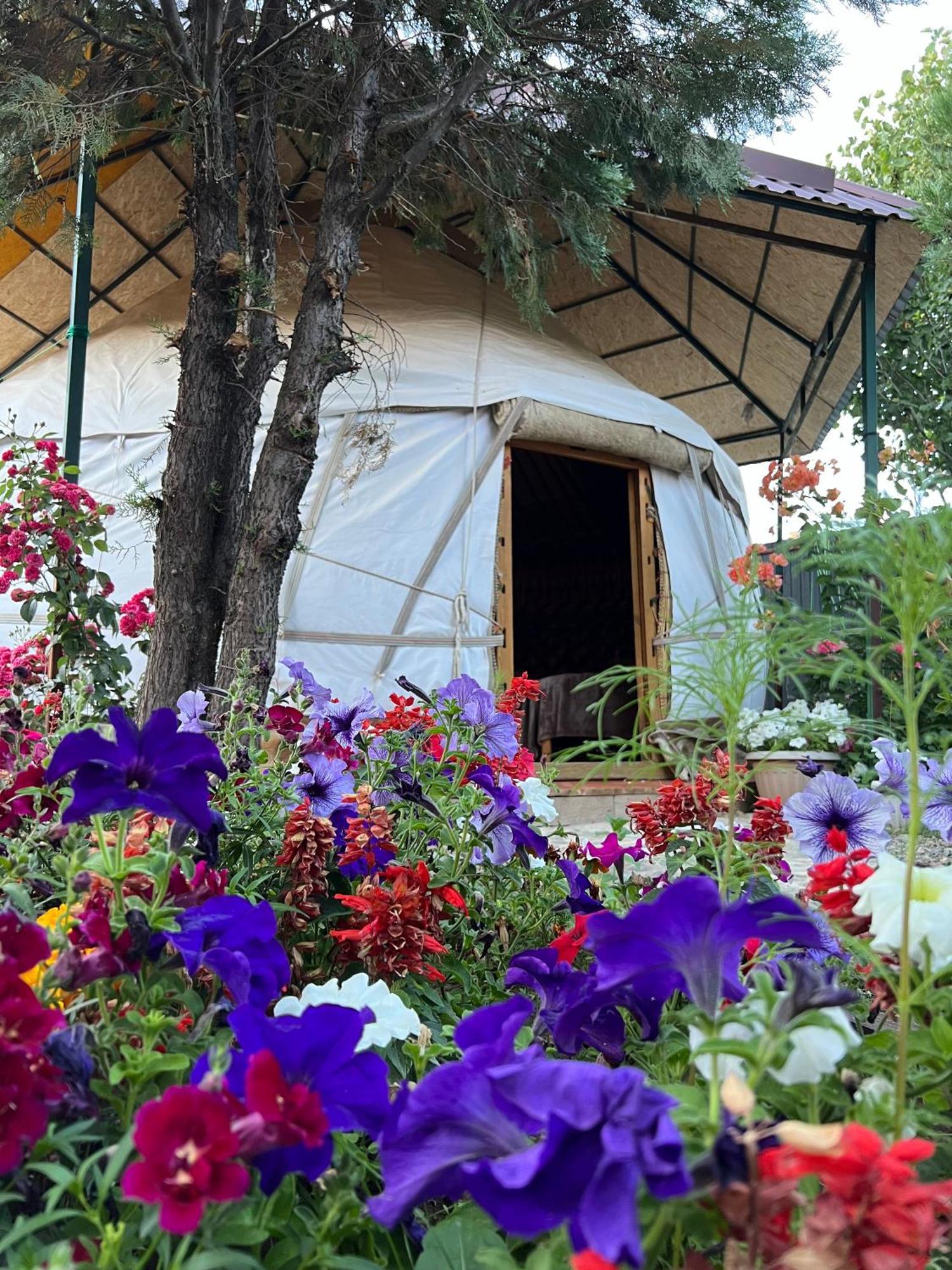 Happy Nomads Yurts & Hostel كاراكول المظهر الخارجي الصورة