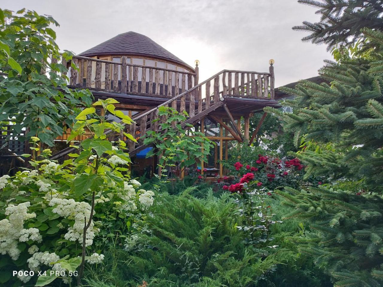 Happy Nomads Yurts & Hostel كاراكول المظهر الخارجي الصورة
