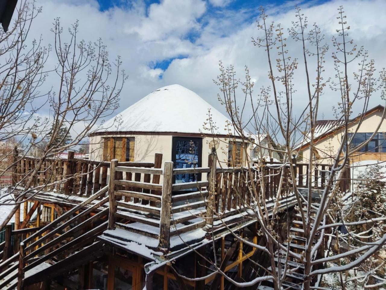 Happy Nomads Yurts & Hostel كاراكول المظهر الخارجي الصورة