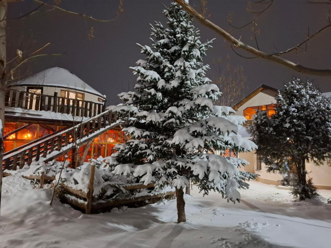 Happy Nomads Yurts & Hostel كاراكول المظهر الخارجي الصورة