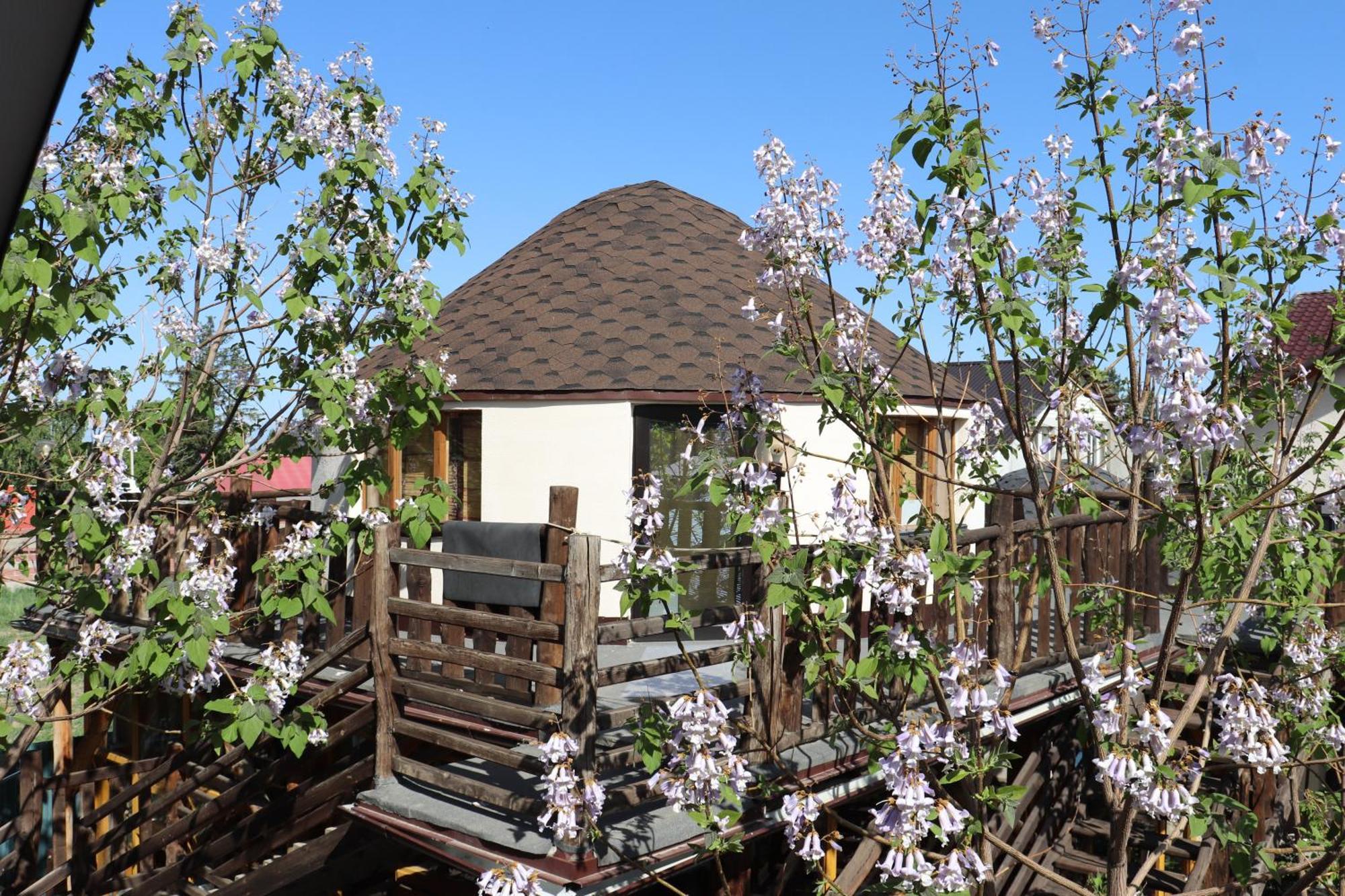 Happy Nomads Yurts & Hostel كاراكول المظهر الخارجي الصورة